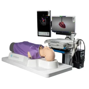 Simulador Heartworks