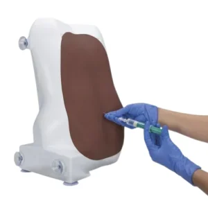 Entrenador para Inyección Epidural y Espinal 3B Scientific P61